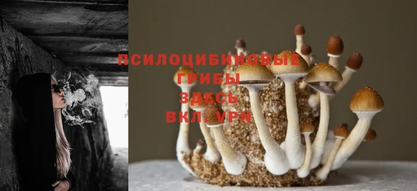 синтетический гашиш Алексеевка