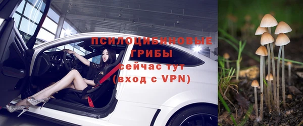 спиды Алексин